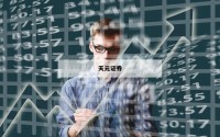什么是金融杠杆炒股的简单介绍