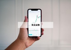 专业股票配资的简单介绍