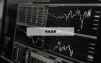 关于杠杆股票软件的信息