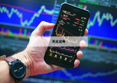 关于炒股怎么加杠杆资金的信息